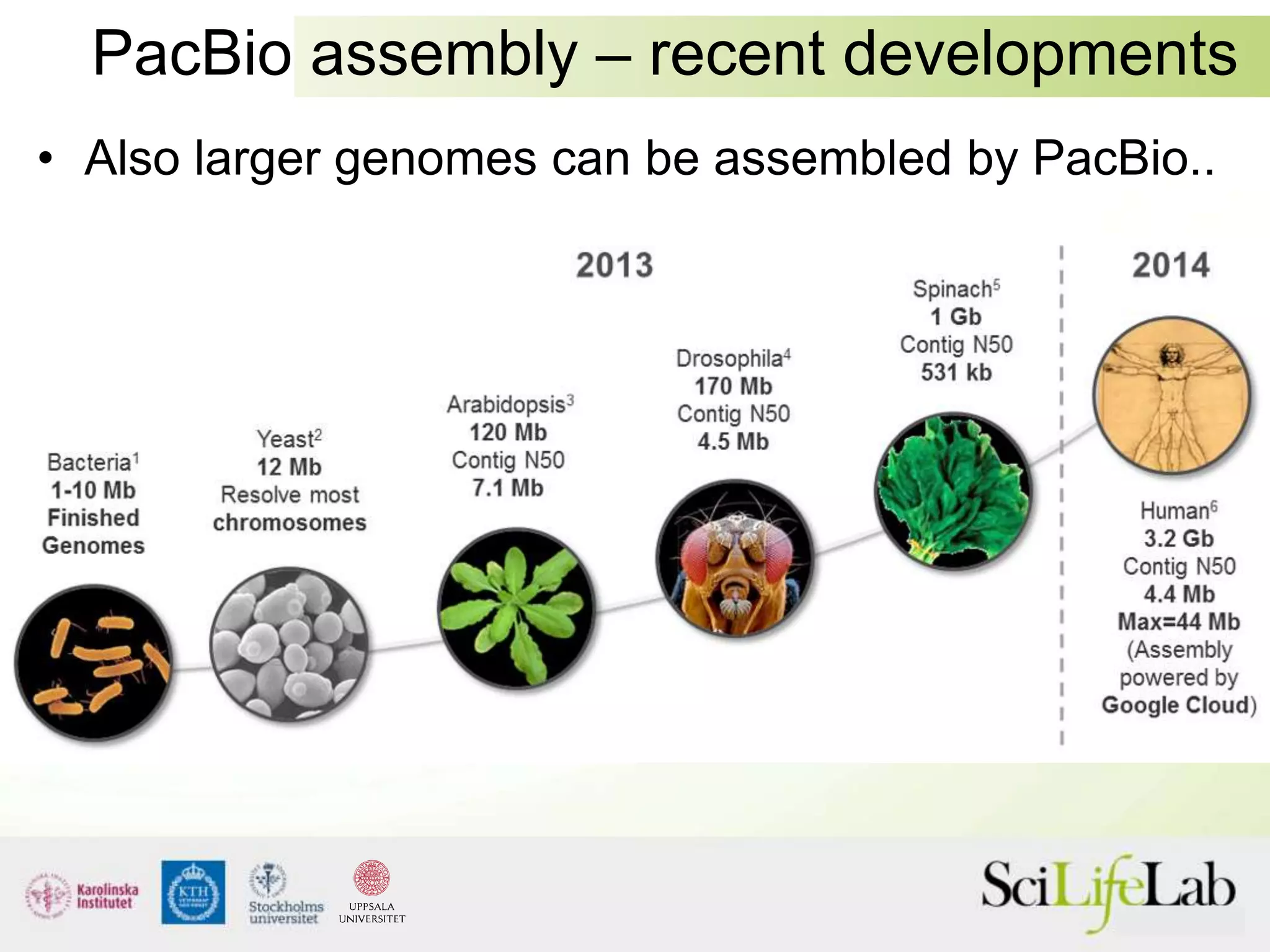 PacBio assembly – recent developments
• Also larger genomes can be assembled by PacBio..
 