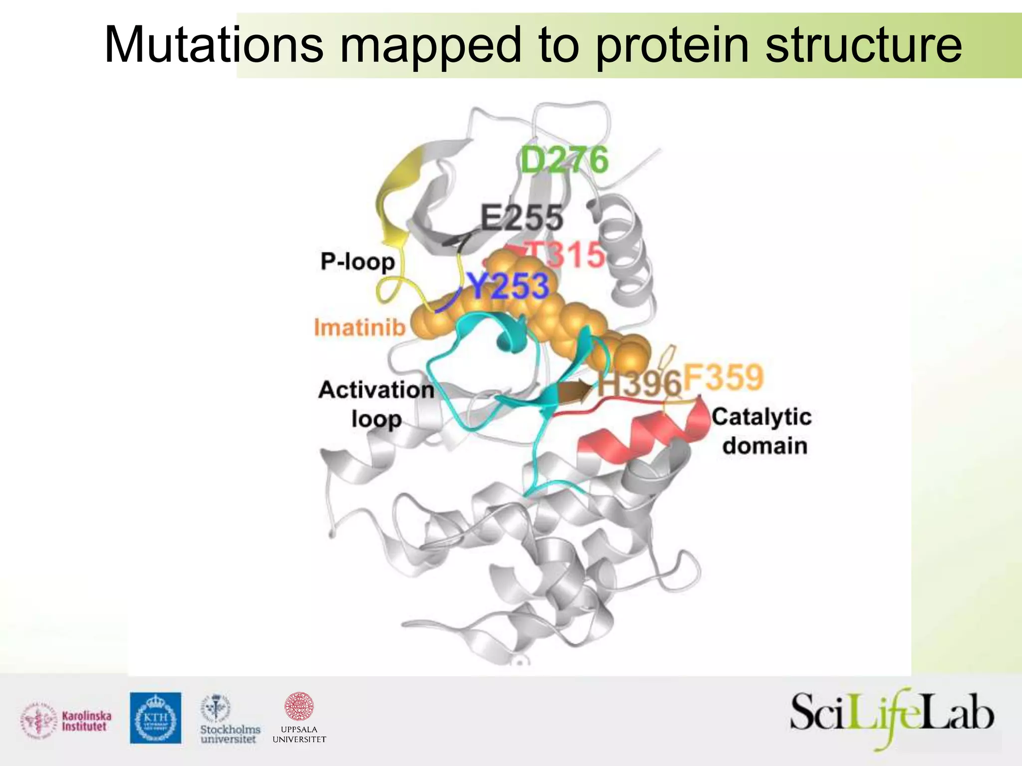 Mutations mapped to protein structure
 