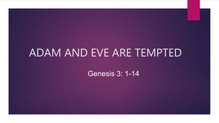 ADAM AND EVE ARE TEMPTED
Genesis 3: 1-14
 