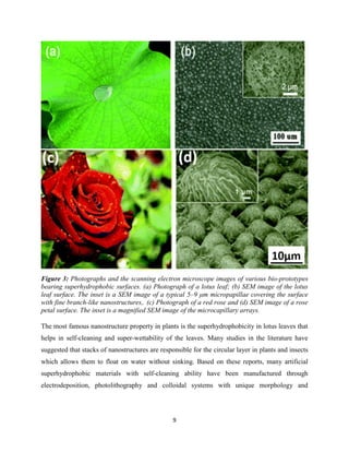 9
Figure 3: Photographs and the scanning electron microscope images of various bio-prototypes
bearing superhydrophobic surfaces. (a) Photograph of a lotus leaf; (b) SEM image of the lotus
leaf surface. The inset is a SEM image of a typical 5–9 μm micropapillae covering the surface
with fine branch-like nanostructures,. (c) Photograph of a red rose and (d) SEM image of a rose
petal surface. The inset is a magnified SEM image of the microcapillary arrays.
The most famous nanostructure property in plants is the superhydrophobicity in lotus leaves that
helps in self-cleaning and super-wettability of the leaves. Many studies in the literature have
suggested that stacks of nanostructures are responsible for the circular layer in plants and insects
which allows them to float on water without sinking. Based on these reports, many artificial
superhydrophobic materials with self-cleaning ability have been manufactured through
electrodeposition, photolithography and colloidal systems with unique morphology and
 
