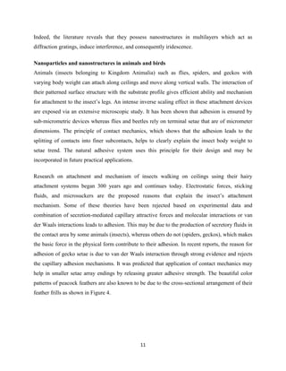11
Indeed, the literature reveals that they possess nanostructures in multilayers which act as
diffraction gratings, induce interference, and consequently iridescence.
Nanoparticles and nanostructures in animals and birds
Animals (insects belonging to Kingdom Animalia) such as flies, spiders, and geckos with
varying body weight can attach along ceilings and move along vertical walls. The interaction of
their patterned surface structure with the substrate profile gives efficient ability and mechanism
for attachment to the insect’s legs. An intense inverse scaling effect in these attachment devices
are exposed via an extensive microscopic study. It has been shown that adhesion is ensured by
sub-micrometric devices whereas flies and beetles rely on terminal setae that are of micrometer
dimensions. The principle of contact mechanics, which shows that the adhesion leads to the
splitting of contacts into finer subcontacts, helps to clearly explain the insect body weight to
setae trend. The natural adhesive system uses this principle for their design and may be
incorporated in future practical applications.
Research on attachment and mechanism of insects walking on ceilings using their hairy
attachment systems began 300 years ago and continues today. Electrostatic forces, sticking
fluids, and microsuckers are the proposed reasons that explain the insect’s attachment
mechanism. Some of these theories have been rejected based on experimental data and
combination of secretion-mediated capillary attractive forces and molecular interactions or van
der Waals interactions leads to adhesion. This may be due to the production of secretory fluids in
the contact area by some animals (insects), whereas others do not (spiders, geckos), which makes
the basic force in the physical form contribute to their adhesion. In recent reports, the reason for
adhesion of gecko setae is due to van der Waals interaction through strong evidence and rejects
the capillary adhesion mechanisms. It was predicted that application of contact mechanics may
help in smaller setae array endings by releasing greater adhesive strength. The beautiful color
patterns of peacock feathers are also known to be due to the cross-sectional arrangement of their
feather frills as shown in Figure 4.
 