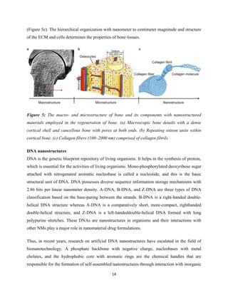 14
(Figure 5c). The hierarchical organization with nanometer to centimeter magnitude and structure
of the ECM and cells determines the properties of bone tissues.
Figure 5: The macro- and microstructure of bone and its components with nanostructured
materials employed in the regeneration of bone. (a) Macroscopic bone details with a dense
cortical shell and cancellous bone with pores at both ends. (b) Repeating osteon units within
cortical bone. (c) Collagen fibers (100–2000 nm) comprised of collagen fibrils.
DNA nanostructures
DNA is the genetic blueprint repository of living organisms. It helps in the synthesis of protein,
which is essential for the activities of living organisms. Mono-phosphorylated deoxyribose sugar
attached with nitrogenated aromatic nucleobase is called a nucleotide, and this is the basic
structural unit of DNA. DNA possesses diverse sequence information storage mechanisms with
2.86 bits per linear nanometer density. A-DNA, B-DNA, and Z-DNA are three types of DNA
classification based on the base-paring between the strands. B-DNA is a right-handed double-
helical DNA structure whereas A-DNA is a comparatively short, more-compact, righthanded
double-helical structure, and Z-DNA is a left-handeddouble-helical DNA formed with long
polypurine stretches. These DNAs are nanostructures in organisms and their interactions with
other NMs play a major role in nanomaterial drug formulations.
Thus, in recent years, research on artificial DNA nanostructures have escalated in the field of
bionanotechnology. A phosphate backbone with negative charge, nucleobases with metal
chelates, and the hydrophobic core with aromatic rings are the chemical handles that are
responsible for the formation of self-assembled nanostructures through interaction with inorganic
 