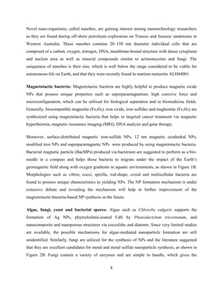 6
Novel nano-organisms, called nanobes, are gaining interest among nanotechnology researchers
as they are found during off-shore petroleum exploration on Triassic and Jurassic sandstones in
Western Australia. These nanobes contains 20–150 nm diameter individual cells that are
composed of a carbon, oxygen, nitrogen, DNA, membrane-bound structure with dense cytoplasm
and nuclear area as well as mineral compounds similar to actinomycetes and fungi. The
uniqueness of nanobes is their size, which is well below the range considered to be viable for
autonomous life on Earth, and that they were recently found in martian meteorite ALH84001.
Magnetotactic bacteria: Magnetotactic bacteria are highly helpful to produce magnetic oxide
NPs that possess unique properties such as superparamagnetism, high coercive force and
microconfiguration, which can be utilized for biological separation and in biomedicine fields.
Generally, biocompatible magnetite (Fe3O4), iron oxide, iron sulfides and maghemite (Fe2O3) are
synthesized using magnetotactic bacteria that helps in targeted cancer treatment via magnetic
hyperthermia, magnetic resonance imaging (MRI), DNA analysis and gene therapy.
Moreover, surface-distributed magnetic iron-sulfide NPs, 12 nm magnetic octahedral NPs,
modified iron NPs and superparamagnetic NPs were produced by using magnetotactic bacteria.
Bacterial magnetic particle (BacMPs) produced via bacterium are suggested to perform as a bio-
needle in a compass and helps those bacteria to migrate under the impact of the Earth’s
geomagnetic field along with oxygen gradients in aquatic environments, as shown in Figure 1B.
Morphologies such as vibrio, cocci, spirilla, rod-shape, ovoid and multicellular bacteria are
found to possess unique characteristics in yielding NPs. The NP formation mechanism is under
extensive debate and revealing the mechanism will help in further improvement of the
magnetotactic-bacteria-based NP synthesis in the future.
Algae, fungi, yeast and bacterial spores: Algae such as Chlorella vulgaris supports the
formation of Ag NPs, phytochelatin-coated CdS by Phaeodactylum tricornutum, and
nanocomposite and nanoporous structures via coccoliths and diatoms. Since very limited studies
are available, the possible mechanisms for algae-mediated nanoparticle formation are still
unidentified. Similarly, fungi are utilized for the synthesis of NPs and the literature suggested
that they are excellent candidates for metal and metal sulfide nanoparticle synthesis, as shown in
Figure 2B. Fungi contain a variety of enzymes and are simple to handle, which gives the
 