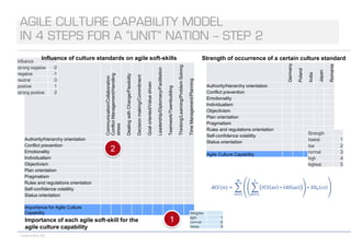 Agile Culture Capability Model or Can We All Be Agile in the “Same Way”? 