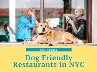 Dog Friendly
Restaurants in NYC
A D A M C R O M A N
 