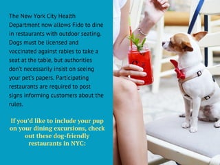 Dog Friendly Restaurants in NYC | Adam Croman