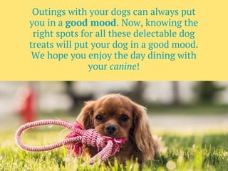 Outings with your dogs can always put
you in a good mood. Now, knowing the
right spots for all these delectable dog
treats...