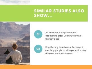 SIMILAR STUDIES ALSO
SHOW...
An increase in dopamine and
endorphins after 20 minutes with
therapy dogs
01
Dog therapy is u...