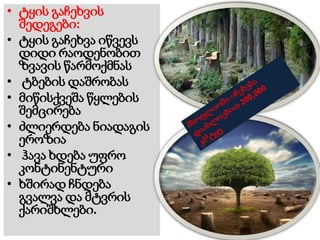 • ტყის გაჩეხვის
შედეგები:
• ტყის გაჩეხვა იწვევს
დიდი რაოდენობით
ზვავის წარმოქმნას
• ტბების დაშრობას
• მიწისქვეშა წყლების
შემცირება
• ძლიერდება ნიადაგის
ეროზია
• ჰავა ხდება უფრო
კონტინენტური
• ხშირად ჩნდება
გვალვა და მტვრის
ქარიშხლები.
 