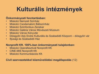 Kulturális intézmények Önkormányzati fenntartásban: Miskolci Nemzeti Színház Miskolci Csodamalom Bábszínház Miskolci Szimfonikus Zenekar Miskolci Galéria Városi Művészeti Múzeum Miskolci Városi Könyvtár Diósgyőri Ady Endre Kulturális és Szabadidő Központ – diósgyőri vár Ifjúsági és Szabadidő Ház Nonprofit Kft. 100%-ban önkormányzati tulajdonban: Miskolci Operafesztivál Nonprofit Kft. CINE-MIS Nonprofit Kft. Miskolci Kommunikációs Kft. Civil szervezetekkel közművelődési megállapodás  (12) 