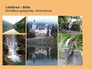 Lillafüred – Bükk klimatikus gyógyhely, ökoturizmus 