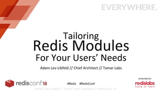 Tailoring
For Your Users’ Needs
Adam Lev-Libfeld // Chief Architect // Tamar Labs
Redis Modules
Adam Lev-Libfeld // Tamar Tech Solutions // RedisConf 18
 