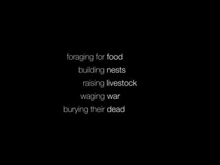 foraging for food
building nests
raising livestock
waging war
burying their dead
 