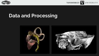 Virtual Ear Development and evaluation of an immersive virtual reality system for ...