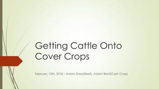 Getting Cattle Onto
Cover Crops
February 13th, 2018 – Adam Shea(Beef), Adam Bent(Cash Crop)
 