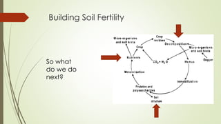 Building Soil Fertility
So what
do we do
next?
 