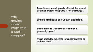 Why
grazing
cover
crops with
a cash
cropper?
Experience growing oats after winter wheat
and cut, baled, wrapped it for ‘oatledge’.
Limited land base on our own operation.
September to December weather is
generally good!
Swap stored feed costs for grazing costs or
reduce costs
 