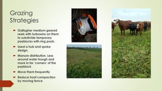 Grazing
Strategies
 Gallagher medium geared
reels with turbowire on them
to subdivide temporary
paddocks with ring posts.
 Used a hub and spoke
design.
 Manure distribution. Less
around water trough and
more in far ‘corners’ of the
paddock
 Move them frequently
 Reduce hoof compaction
by moving fence
 