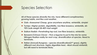 Species Selection
All of these species diversify the mix, have different/complimentary
growing habits, and like cool weather.
 Oats –Awesome! Cheap, grow anywhere anytime, winterkills, simple!
 Turnips –Higher protein, digestibility, low fibre brassica, winterkills, 60-
70% bulb weight 30-40% leaf weight
 Daikon Radish –Penetrating tap root, low fibre brassica, winterkills
 Berseem/Crimson Clover – Pick a legume to put in the mix for some
Nitrogen fixation really for next crop, diversification of species. Need to
terminate.
 Italian (Annual) Ryegrass – species diversification(2nd grass), slightly
different root structure, highly digestible feed. –Most should winterkill,
but still need to terminate likely.
 