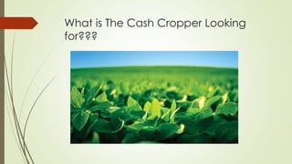 What is The Cash Cropper Looking
for???
 