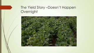 The Yield Story –Doesn’t Happen
Overnight
 