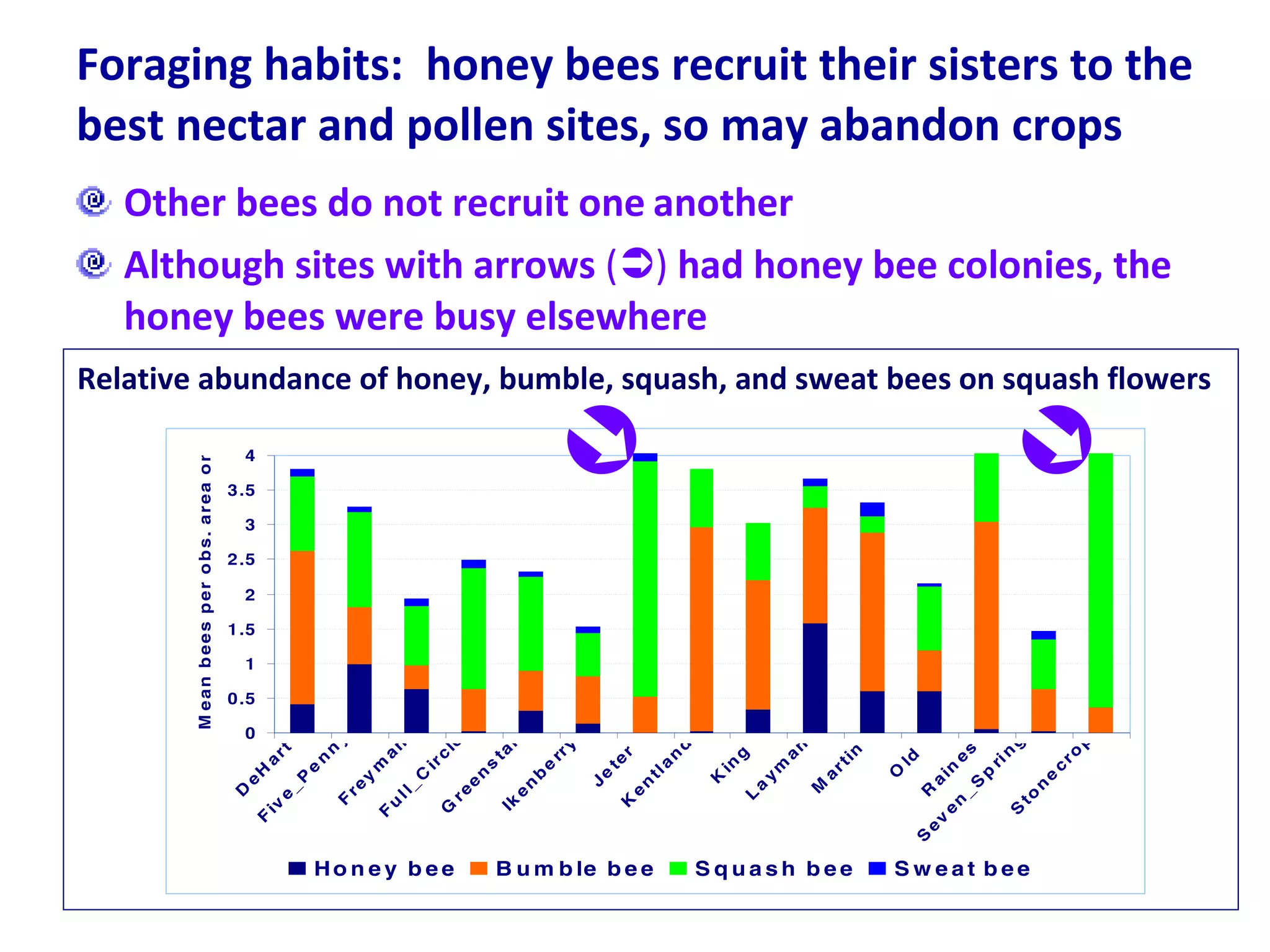 Foraging habits:  honey bees recruit their sisters to the best nectar and pollen sites, so may abandon crops Other bees do not recruit one   another   Although sites with arrows  (  )  had honey bee colonies, the honey bees were busy elsewhere   Relative abundance of honey, bumble, squash, and sweat bees on squash flowers 