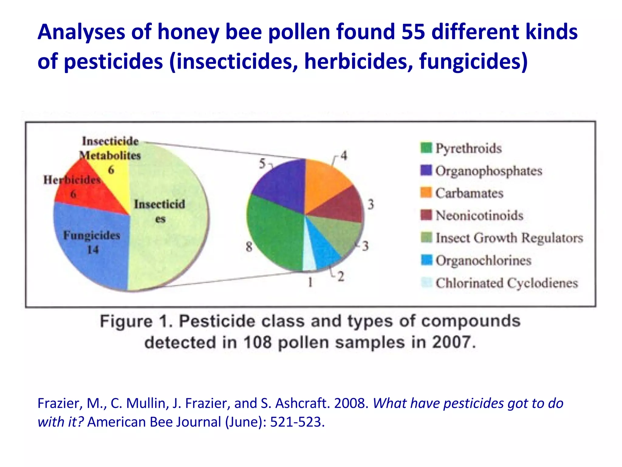 Analyses of honey bee pollen found 55 different kinds of pesticides (insecticides, herbicides, fungicides)  Frazier, M., C. Mullin, J. Frazier, and S. Ashcraft. 2008.  What have pesticides got to do with it?  American Bee Journal (June): 521-523. 