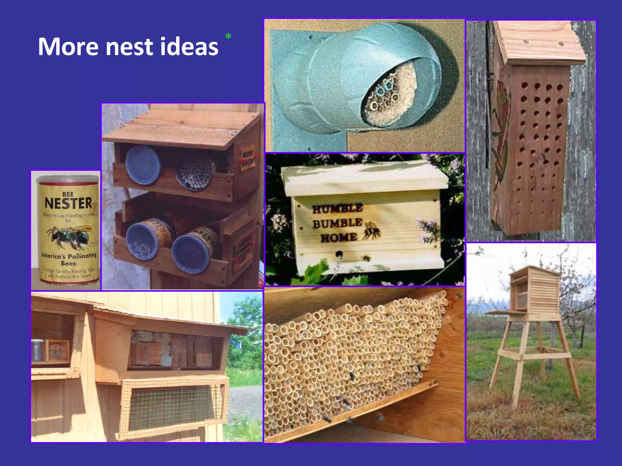More nest ideas * 