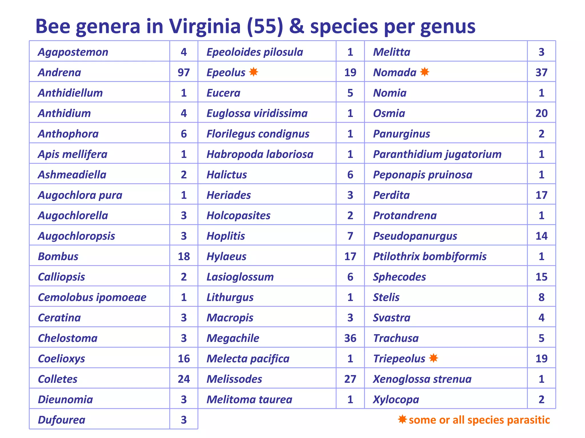 Bee genera in Virginia (55) & species per genus    Agapostemon 4   Epeoloides pilosula 1   Melitta 3   Andrena 97   Epeolus   19   Nomada   37   Anthidiellum 1   Eucera 5   Nomia 1   Anthidium 4   Euglossa viridissima 1   Osmia 20   Anthophora 6   Florilegus condignus 1   Panurginus 2   Apis mellifera 1   Habropoda laboriosa 1   Paranthidium jugatorium 1   Ashmeadiella 2   Halictus 6   Peponapis pruinosa 1   Augochlora pura 1   Heriades 3   Perdita 17   Augochlorella 3   Holcopasites 2   Protandrena 1   Augochloropsis 3   Hoplitis 7   Pseudopanurgus 14   Bombus 18   Hylaeus 17   Ptilothrix bombiformis 1   Calliopsis 2   Lasioglossum 6   Sphecodes 15   Cemolobus ipomoeae 1   Lithurgus 1   Stelis 8   Ceratina 3   Macropis 3   Svastra 4   Chelostoma 3   Megachile 36   Trachusa 5   Coelioxys 16   Melecta pacifica 1   Triepeolus   19   Colletes 24   Melissodes 27   Xenoglossa strenua 1   Dieunomia 3   Melitoma taurea 1   Xylocopa 2   Dufourea 3  some or all species parasitic 