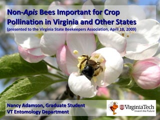 Non- Apis  Bees Important for Crop Pollination in Virginia and Other States   (presented to the Virginia State Beekeepers Association, April 18, 2009) Nancy Adamson, Graduate Student VT Entomology Department   