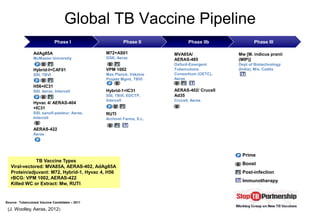 Progress in new TB vaccine development | PDF