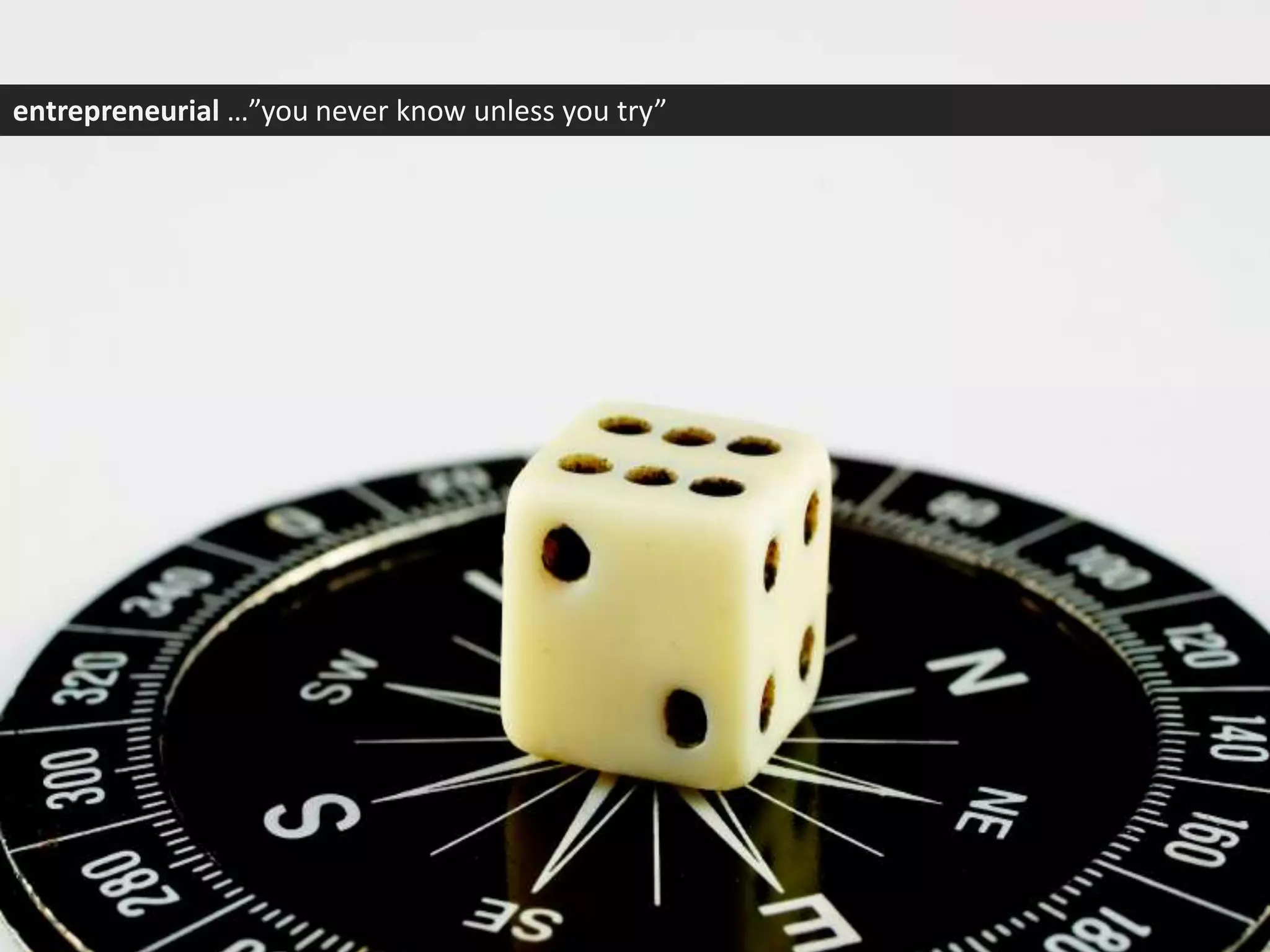 entrepreneurial …”you never know unless you try”
 