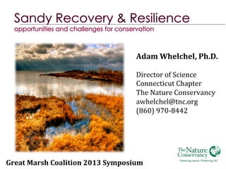 Adam	
  Whelchel,	
  Ph.D.	
  
	
  
Director	
  of	
  Science	
  
Connecticut	
  Chapter	
  
The	
  Nature	
  Conservancy	
  
awhelchel@tnc.org	
  
(860)	
  970-­‐8442	
  

Great	
  Marsh	
  Coalition	
  2013	
  Symposium	
  

 