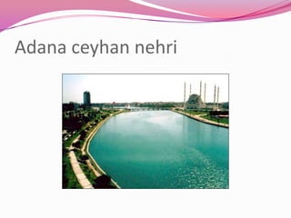 Adana ceyhan nehri
 