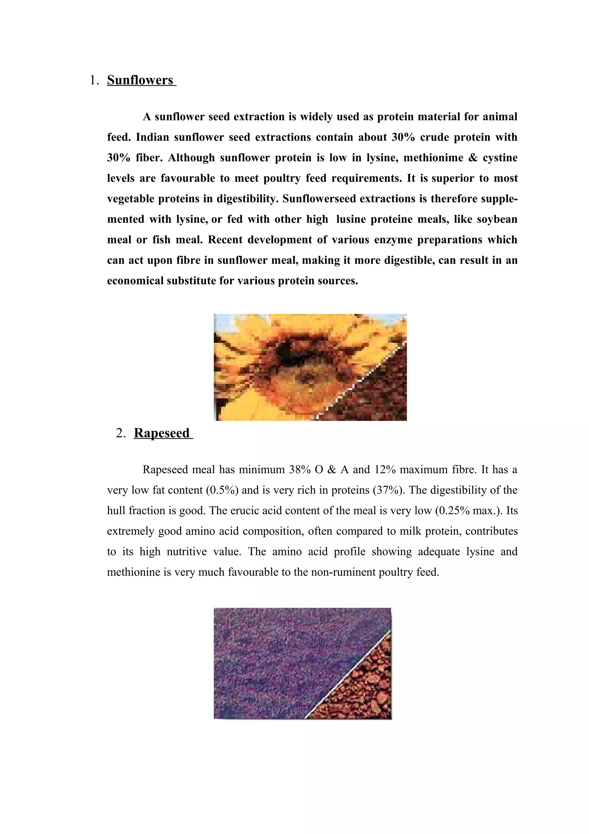 1. Sunflowers
A sunflower seed extraction is widely used as protein material for animal
feed. Indian sunflower seed extractions contain about 30% crude protein with
30% fiber. Although sunflower protein is low in lysine, methionime & cystine
levels are favourable to meet poultry feed requirements. It is superior to most
vegetable proteins in digestibility. Sunflowerseed extractions is therefore supple-
mented with lysine, or fed with other high lusine proteine meals, like soybean
meal or fish meal. Recent development of various enzyme preparations which
can act upon fibre in sunflower meal, making it more digestible, can result in an
economical substitute for various protein sources.
2. Rapeseed
Rapeseed meal has minimum 38% O & A and 12% maximum fibre. It has a
very low fat content (0.5%) and is very rich in proteins (37%). The digestibility of the
hull fraction is good. The erucic acid content of the meal is very low (0.25% max.). Its
extremely good amino acid composition, often compared to milk protein, contributes
to its high nutritive value. The amino acid profile showing adequate lysine and
methionine is very much favourable to the non-ruminent poultry feed.
 