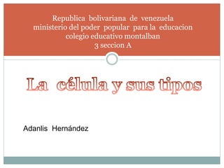 Republica bolivariana de venezuela 
ministerio del poder popular para la educacion 
colegio educativo montalban 
3 seccion A 
Adanlis Hernández 
 