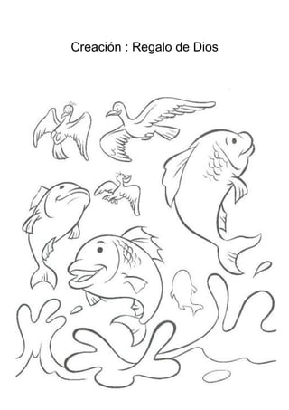 Creación : Regalo de Dios
 