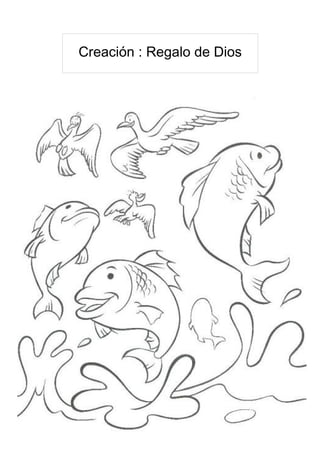 Creación : Regalo de Dios
 