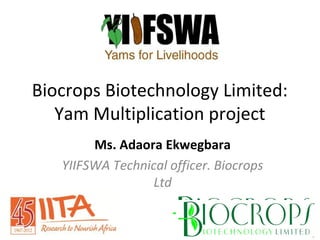 Biocrops Biotechnology Limited:
Yam Multiplication project
Ms. Adaora Ekwegbara
YIIFSWA Technical officer. Biocrops
Ltd
 