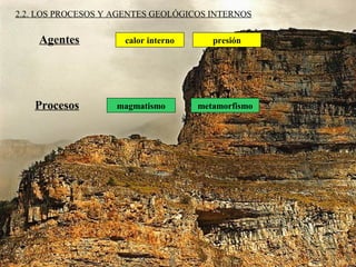 calor interno presión
2.2. LOS PROCESOS Y AGENTES GEOLÓGICOS INTERNOS
Agentes
Procesos magmatismo metamorfismo
 