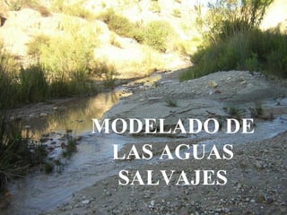 MODELADO DE
LAS AGUAS
SALVAJES
 