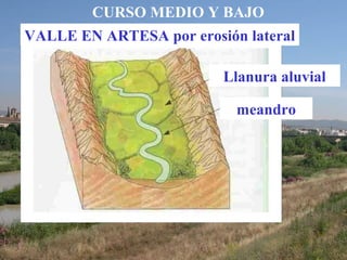 CURSO MEDIO Y BAJO
VALLE EN ARTESA por erosión lateral
meandro
Llanura aluvial
 