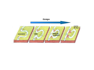 tiempo
 