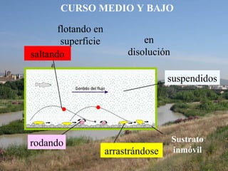 Sustrato
inmóvil
en
disolución
flotando en
superficie
saltando
rodando
arrastrándose
suspendidos
CURSO MEDIO Y BAJO
 