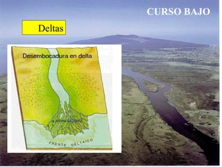 CURSO BAJO
Deltas
 