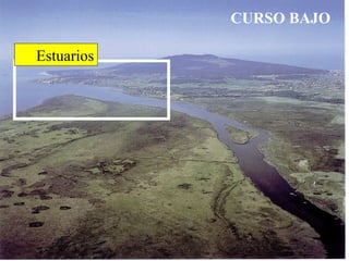 CURSO BAJO
Estuarios
 