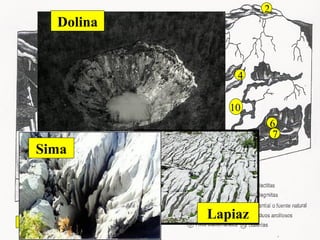 Paisaje kárstico en macizo calcáreo
10
6
5
9
81 7
3
2
4
Sima
Dolina
Lapiaz
 