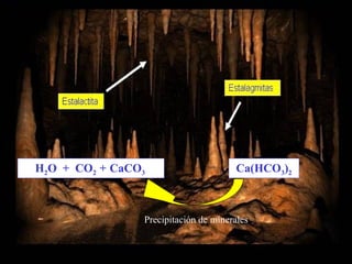 Ca(HCO3)2H2O + CO2 + CaCO3
Precipitación de minerales
 