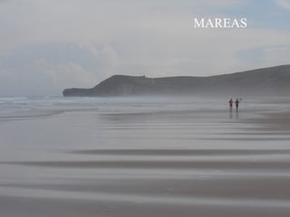 MAREAS
 