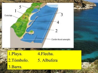 1.Playa. 4.Flecha.
2.Tómbolo. 5. Albufera
3.Barra.
5
1
2
4
3
 